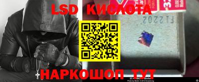 прущие грибы Конаково