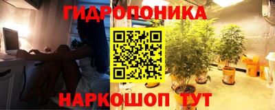 прущие грибы Конаково