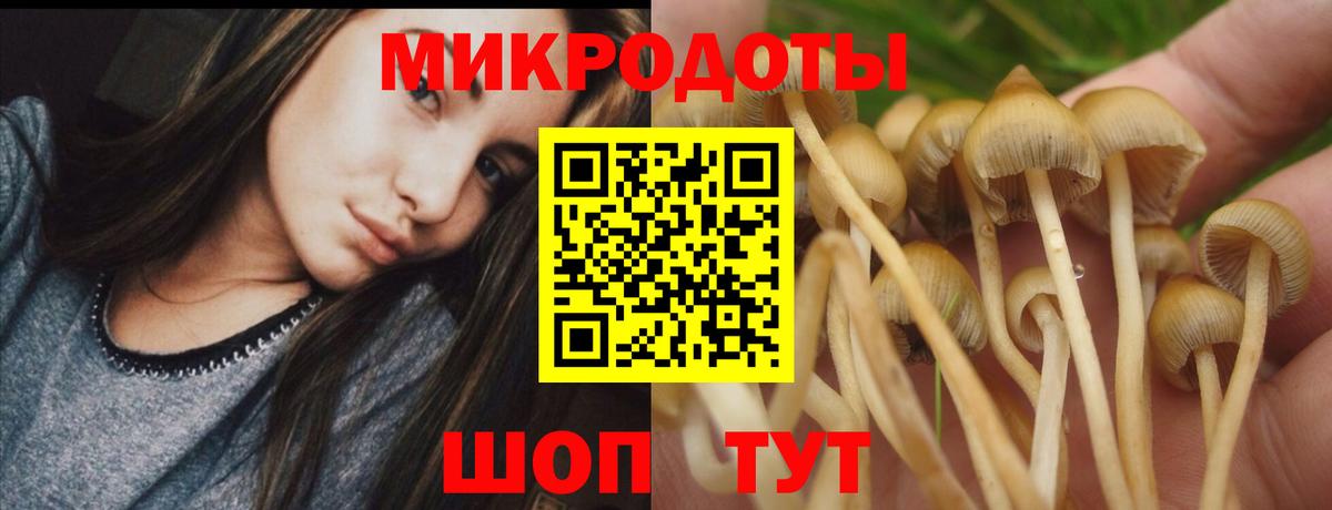 Костомукша  Галлюциногенные грибы Magic Shrooms  Вход с VPN  Галлюциногенные грибы MAGIC MUSHROOMS 